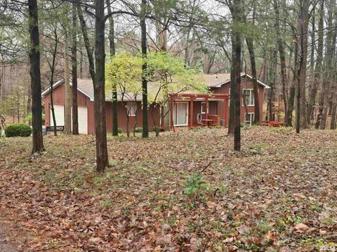 Tiny photo for 567 UNION GROVE Road, Carbondale, IL 62901 (MLS # EB460605)