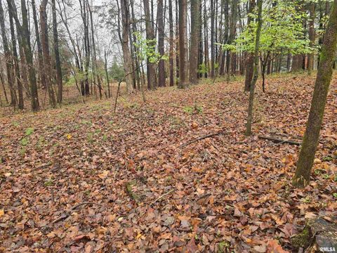 Tiny photo for 567 UNION GROVE Road, Carbondale, IL 62901 (MLS # EB460605)