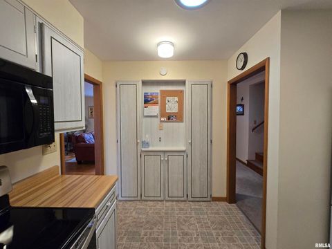 Tiny photo for 567 UNION GROVE Road, Carbondale, IL 62901 (MLS # EB460605)