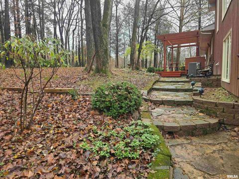 Tiny photo for 567 UNION GROVE Road, Carbondale, IL 62901 (MLS # EB460605)