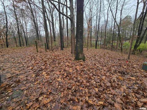 Tiny photo for 567 UNION GROVE Road, Carbondale, IL 62901 (MLS # EB460605)