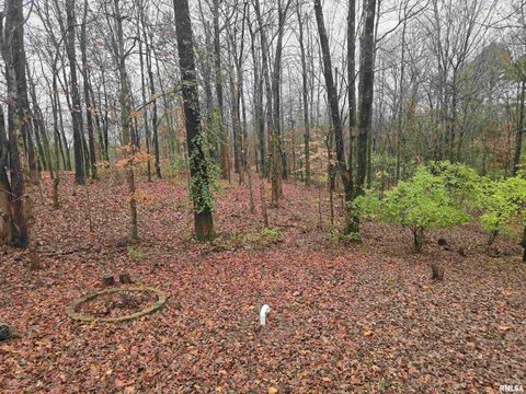 Tiny photo for 567 UNION GROVE Road, Carbondale, IL 62901 (MLS # EB460605)