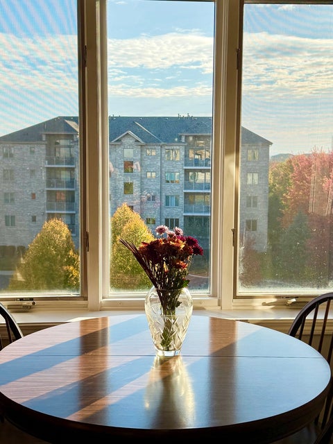 Tiny photo for 11131 Waters Edge Drive #4B, Orland Park, IL 60467 (MLS # 12795552)