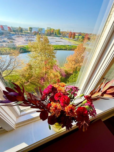 Tiny photo for 11131 Waters Edge Drive #4B, Orland Park, IL 60467 (MLS # 12795552)