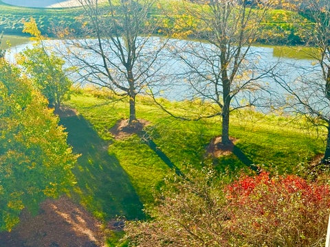 Tiny photo for 11131 Waters Edge Drive #4B, Orland Park, IL 60467 (MLS # 12795552)