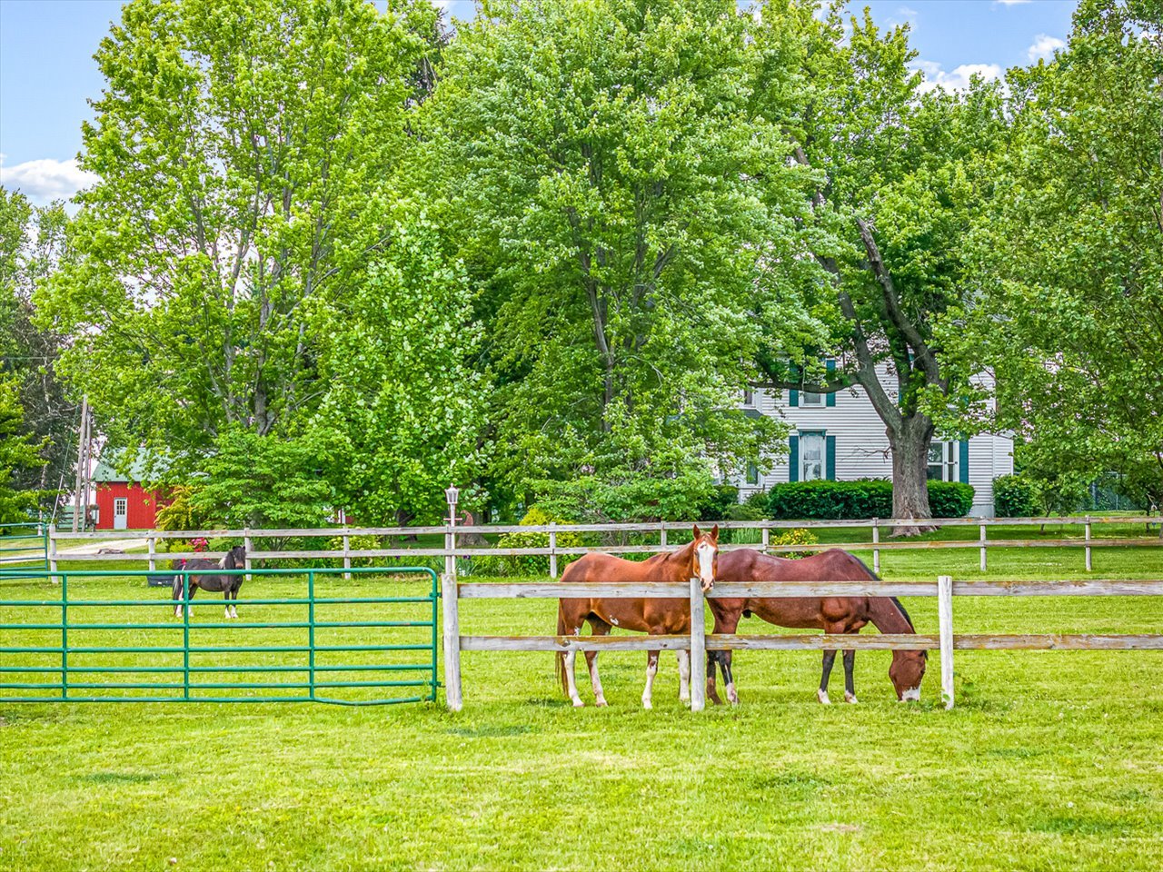 466 Quail Trap Road