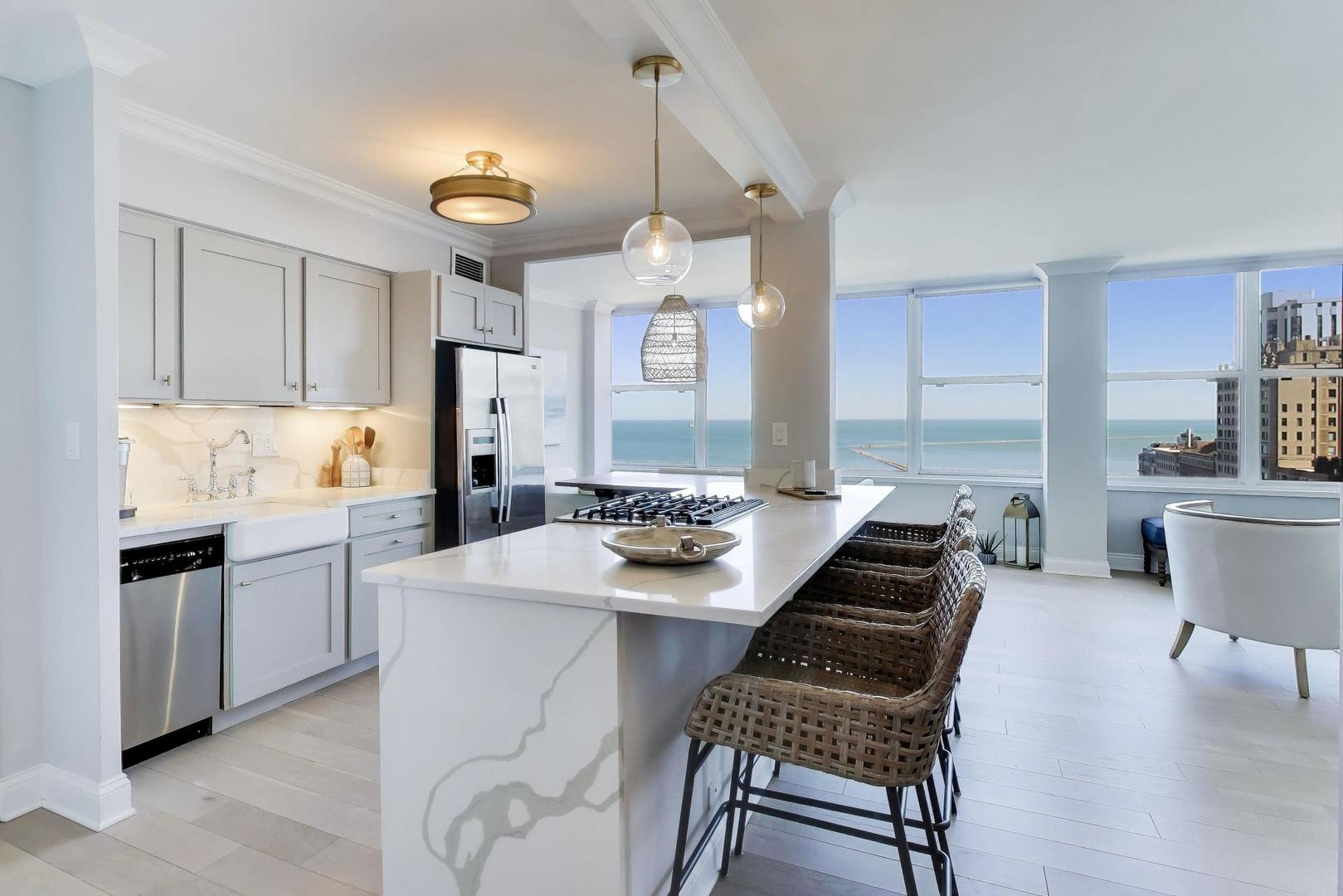 1000 N Lake Shore Drive 2009