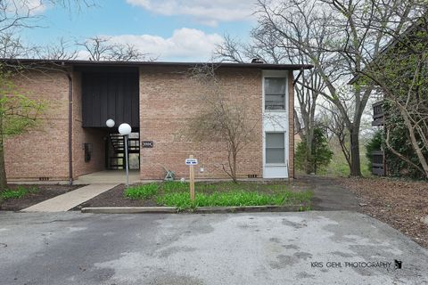 5504 E Lake Drive C Lisle IL 60532