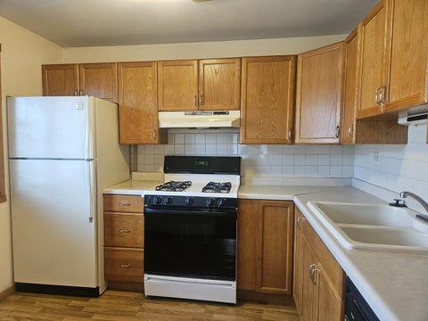 Tiny photo for 1037 Quanset Court #1037, Schaumburg, IL 60194 (MLS # 12715325)