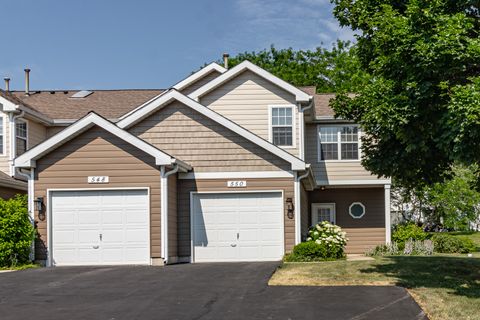 Townhouse in Mundelein IL 550 Woodhaven Drive.jpg