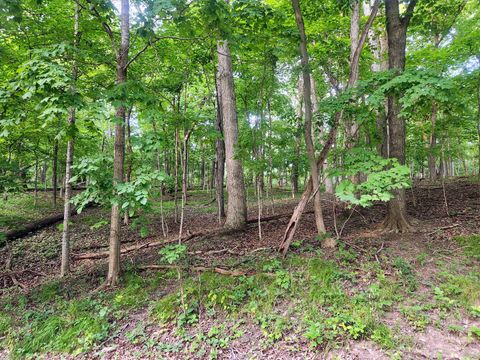 Lot 1806 Tanglewood Drive Varna IL 61375