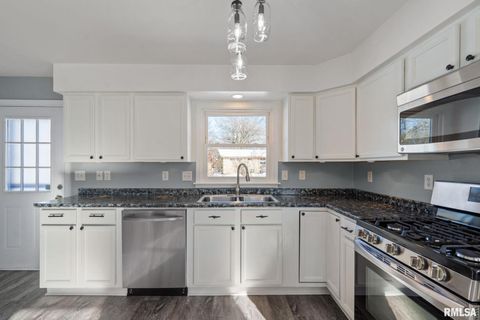 Tiny photo for 622 53RD Street, Moline, IL 61265 (MLS # QC4270105)