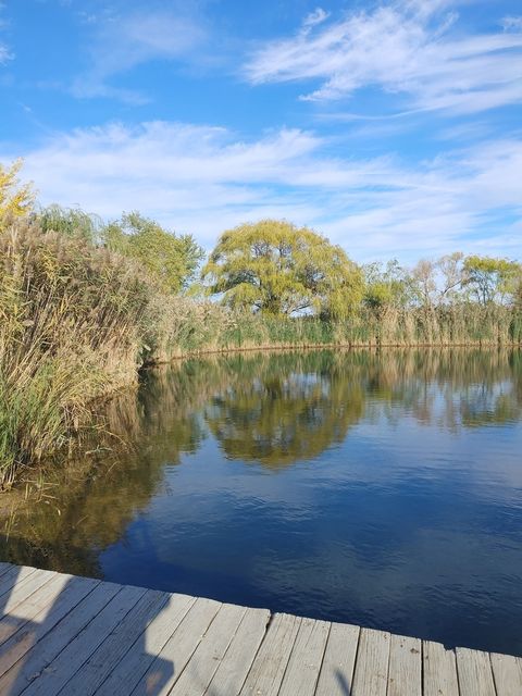 Tiny photo for 5395 Carbon Hill Road, Gardner, IL 60424 (MLS # 12504539)