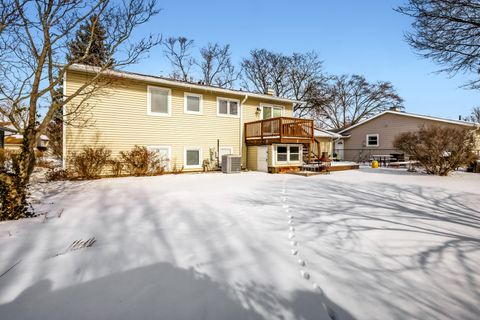 Tiny photo for 295 Brighton Road, Elk Grove Village, IL 60007 (MLS # 12556381)