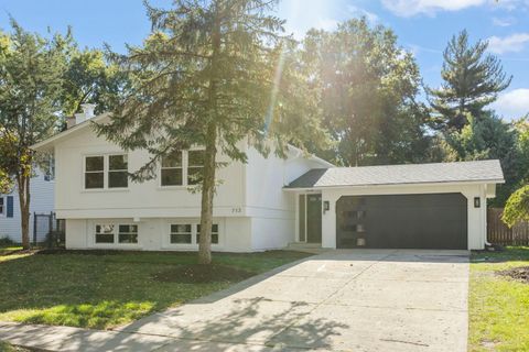 Tiny photo for 713 Ridgeview Street, Downers Grove, IL 60516 (MLS # 12503897)