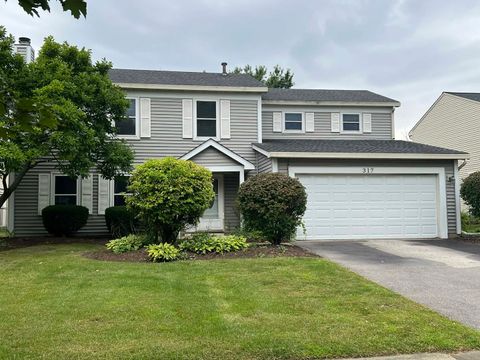 317 Homestead Drive Bolingbrook IL 60440