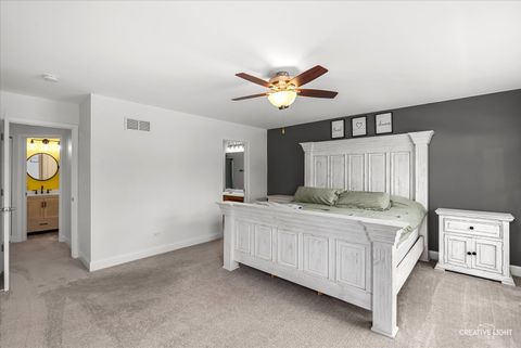 Tiny photo for 352 Coneflower Drive, Minooka, IL 60447 (MLS # 12648503)