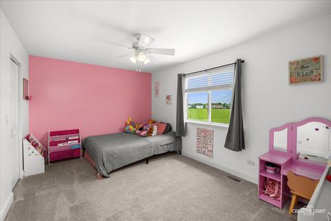 Tiny photo for 352 Coneflower Drive, Minooka, IL 60447 (MLS # 12648503)