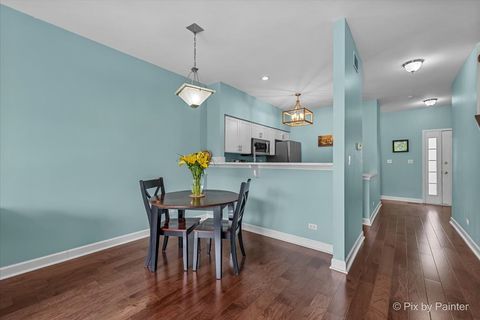 Tiny photo for 247 Camel Bend Court #247, Schaumburg, IL 60194 (MLS # 12482592)