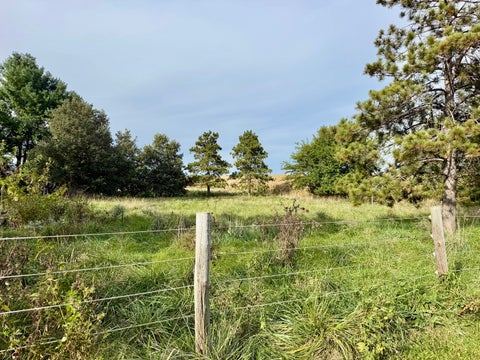 Tiny photo for 21408 Lincoln Road, Sterling, IL 61081 (MLS # 12772529)