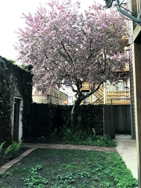 A home in Chicago