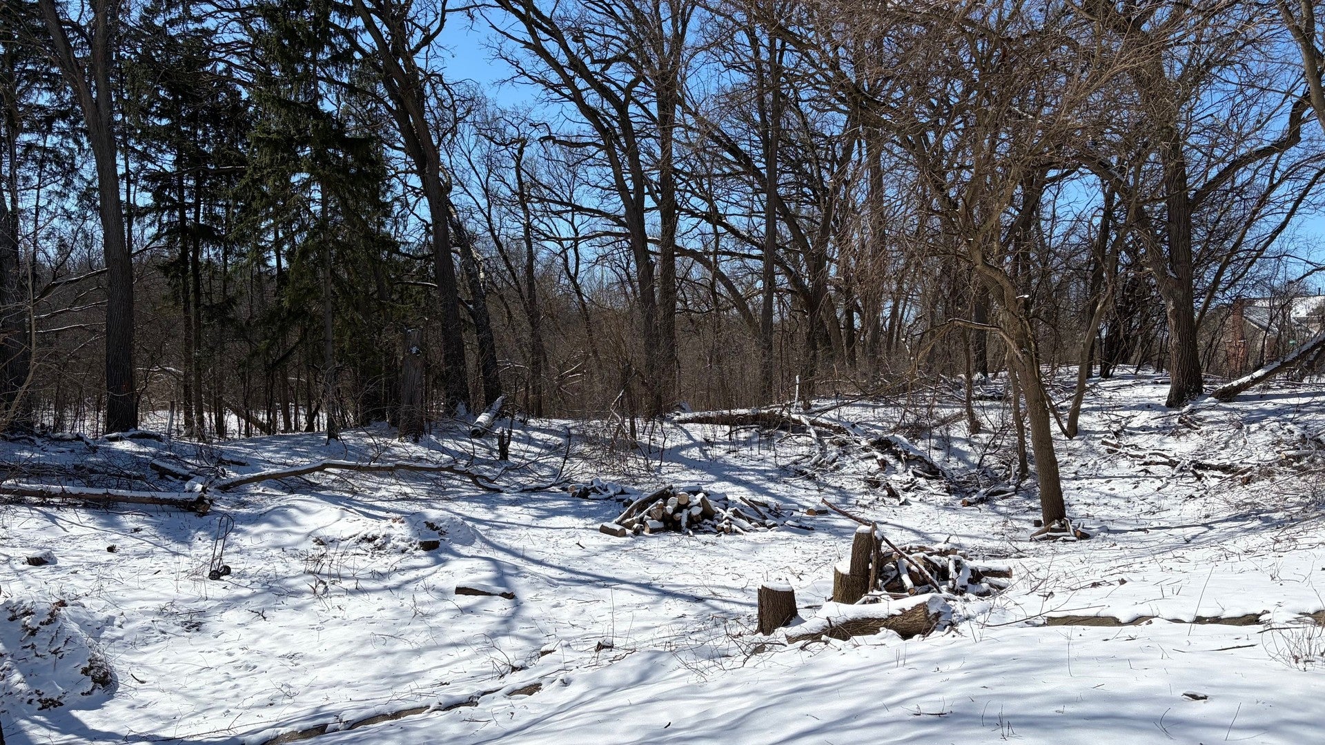 LOT 2 Asbury Avenue