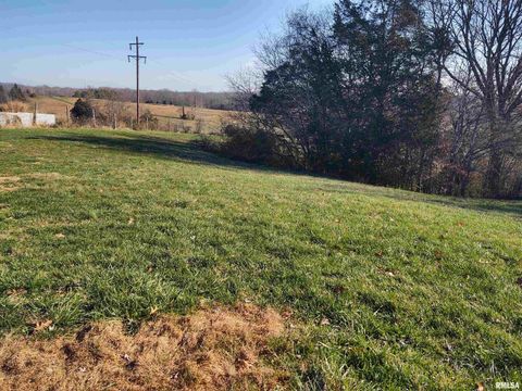 Tiny photo for 1470 Old Bloomfield Road, Vienna, IL 62995 (MLS # EB460639)