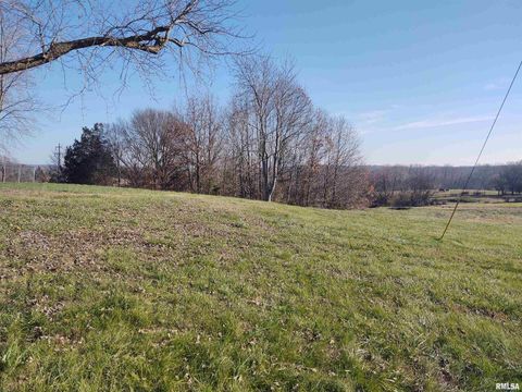 Tiny photo for 1470 Old Bloomfield Road, Vienna, IL 62995 (MLS # EB460639)