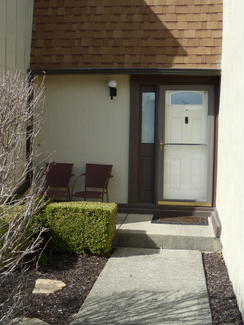 17 Elmwood Square