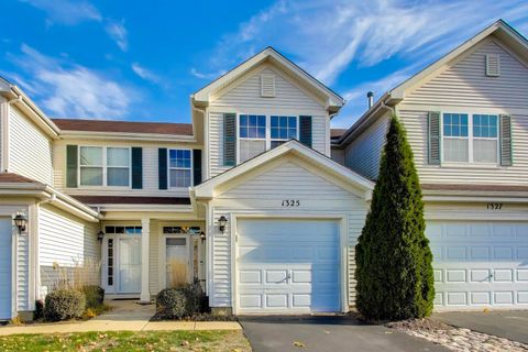 1325 Remington Drive 3 Volo IL 60020