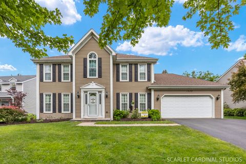 1539 Abbotsford Drive Naperville IL 60563
