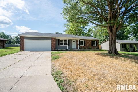 Tiny photo for 865 Stardust Drive, Herrin, IL 62948 (MLS # QC4269367)