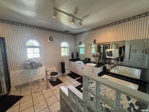 Tiny photo for 402 W PROSPECT Street, Kewanee, IL 61443 (MLS # QC4267622)