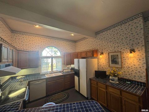 Tiny photo for 402 W PROSPECT Street, Kewanee, IL 61443 (MLS # QC4267622)