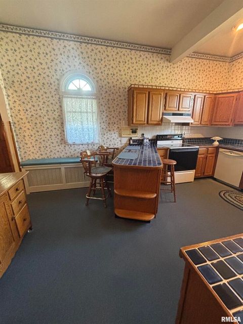 Tiny photo for 402 W PROSPECT Street, Kewanee, IL 61443 (MLS # QC4267622)