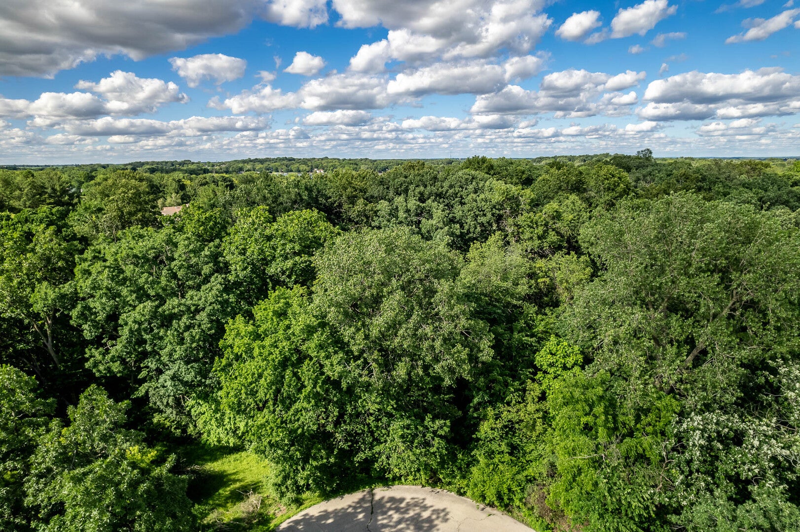 217 New Forest Road SW