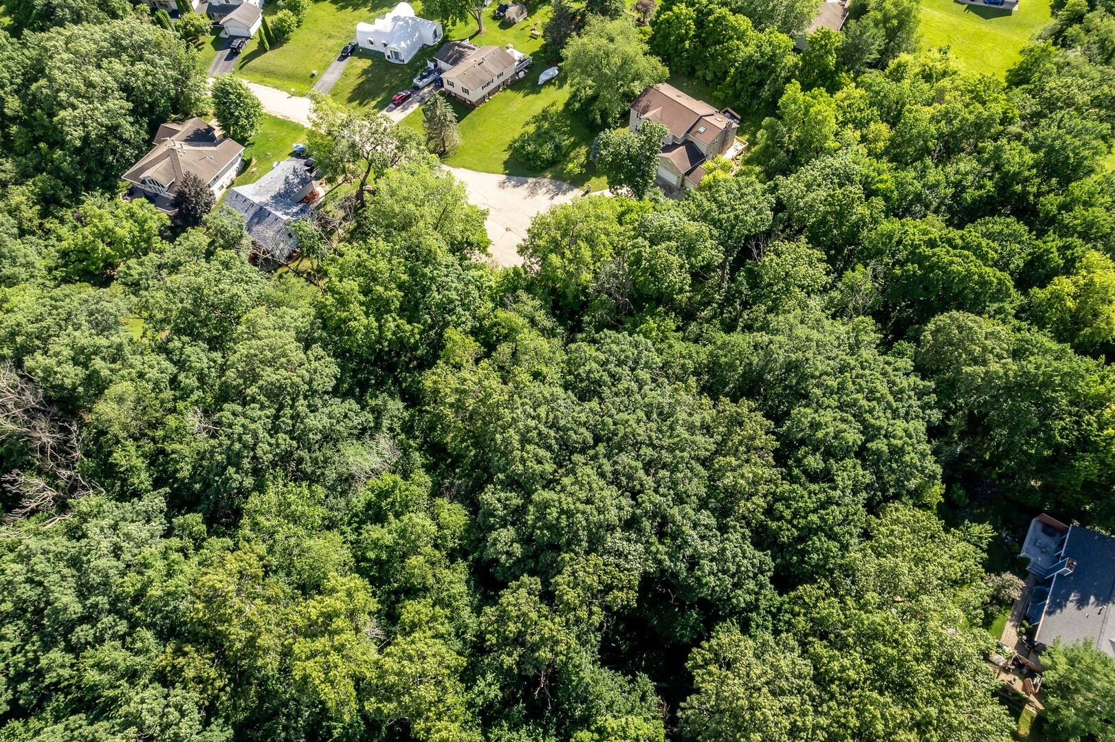 217 New Forest Road SW