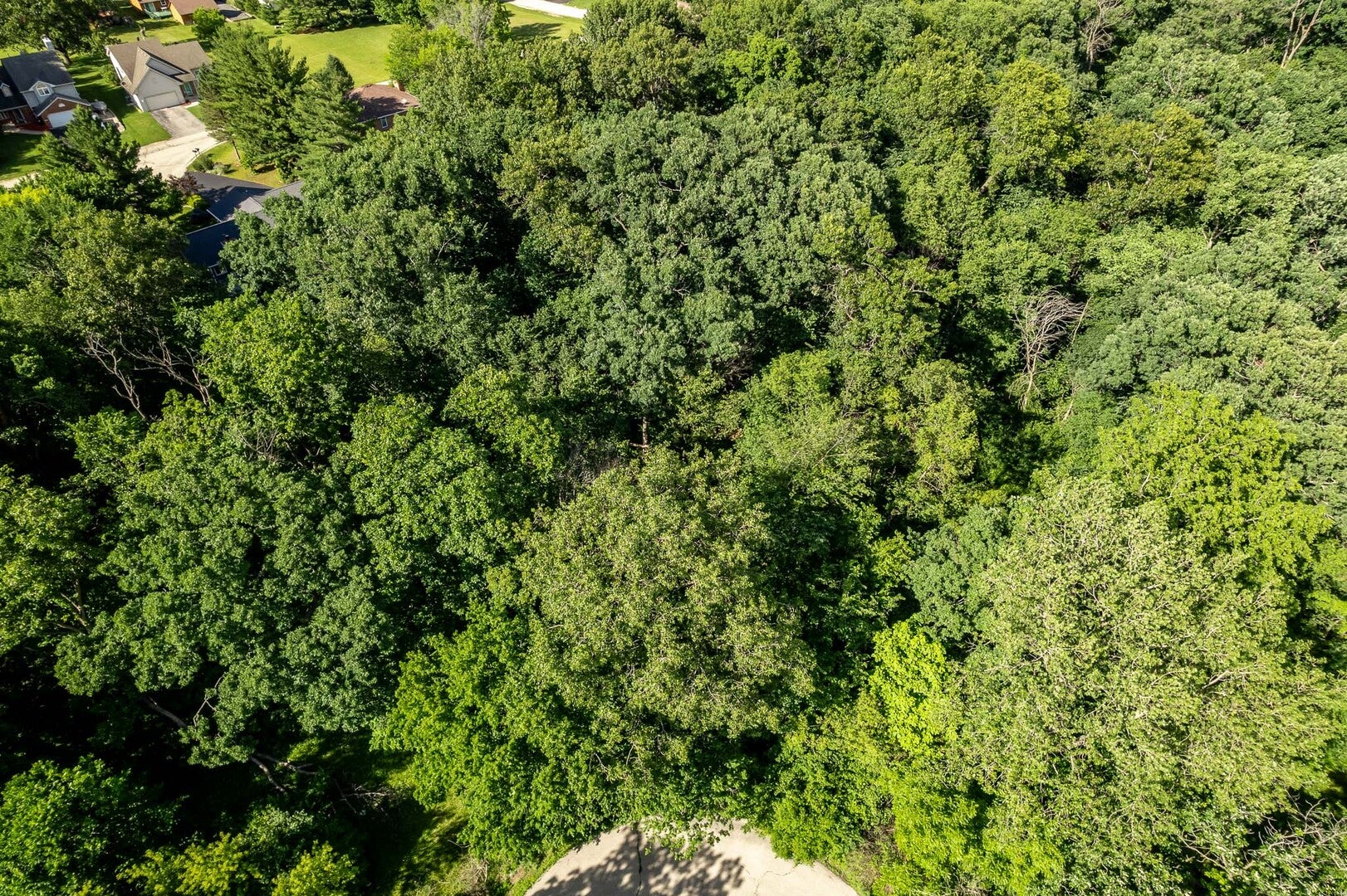 217 New Forest Road SW