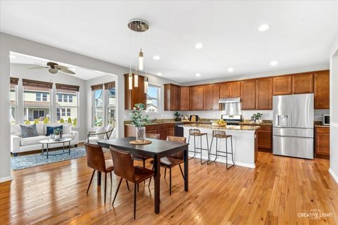 Tiny photo for 4319 Silver Bell Court, Naperville, IL 60564 (MLS # 12591329)