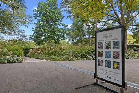 Tiny photo for 60 E Monroe Street #2203, Chicago, IL 60603 (MLS # 12773376)