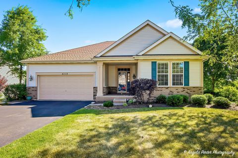 Photo of 4119 Jay Street, Johnsburg, IL 60051 (MLS # 12663097)