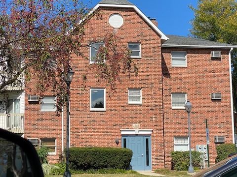 1303 Cunat Court 1C Lake In The Hills IL 60156