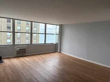 1000 N Lake Shore Drive 2204