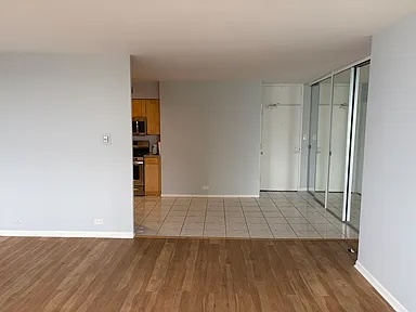 1000 N Lake Shore Drive 2204