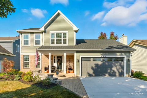 895 Lowell Lane Naperville IL 60540