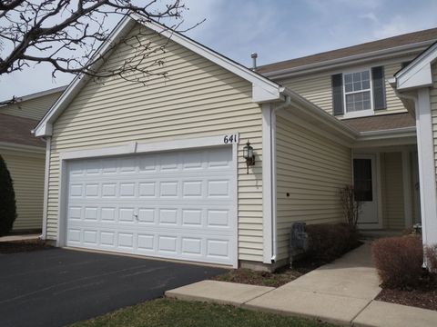 Photo of 641 Chestnut Ridge, Minooka, IL 60447 (MLS # 12671402)