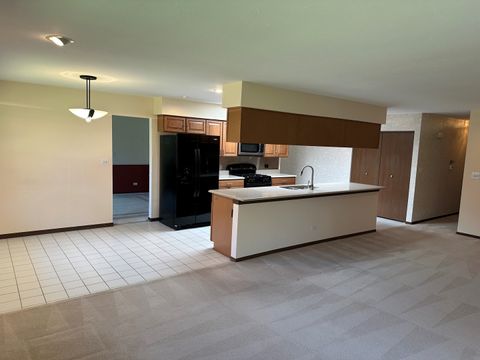 Tiny photo for 214 S Walnut Lane, Schaumburg, IL 60193 (MLS # 12667762)