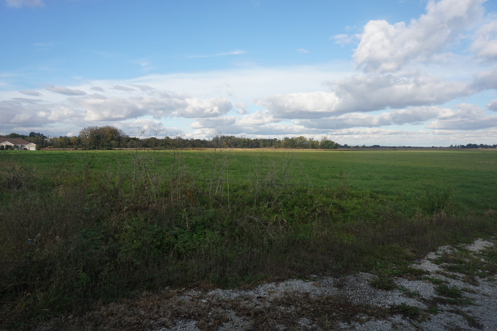 Section 18 Momence Street