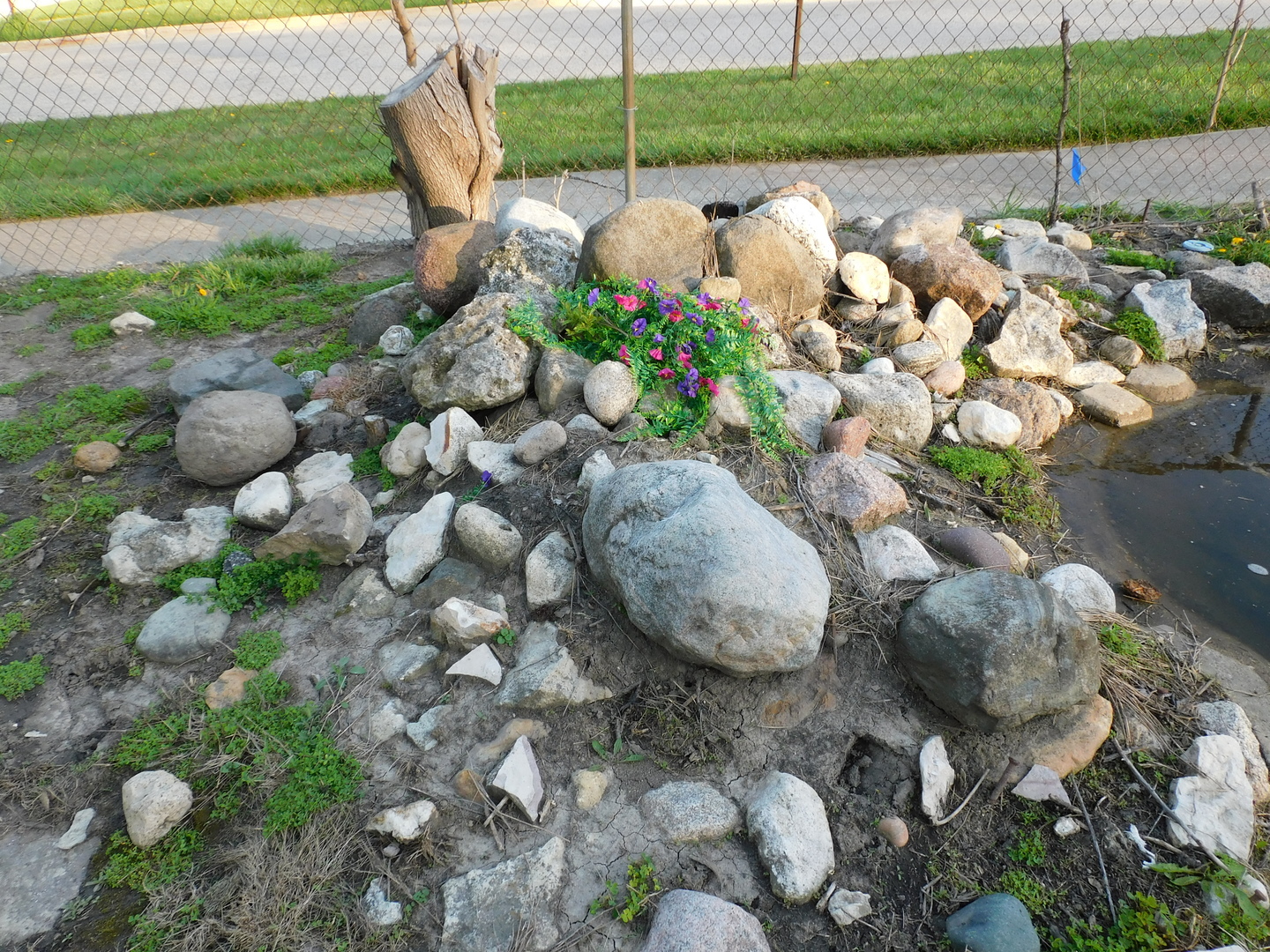 644 Briar Road
