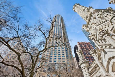 800 N MICHIGAN Avenue 3203 Chicago IL 60611